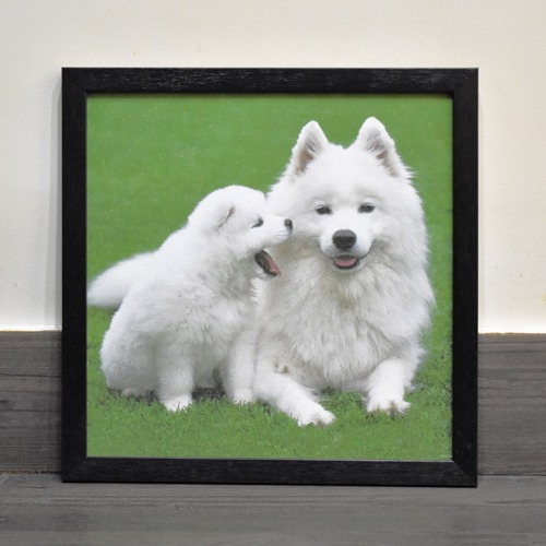 Two White Dogs  Wall Painting Wooden Frame With Sparkle Paper Sheet Decor For Living Room Bed Room