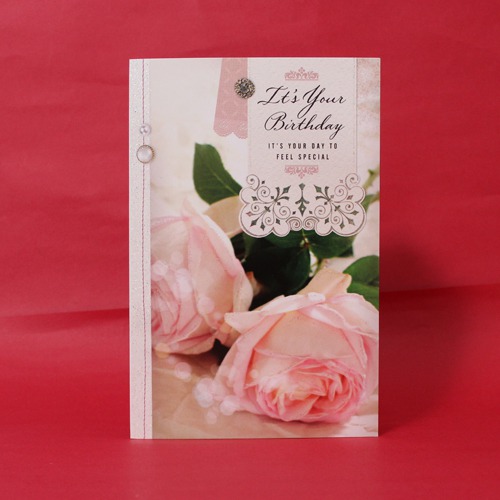 It's your Birthday It's Your Day To Feel Special | Birthday Greeting Card