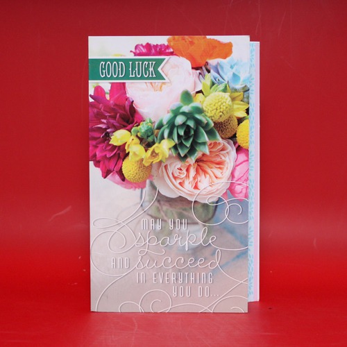 Good Luck May You Sparkle And Succeed in Everything You Do| Best Wishes Greeting Card
