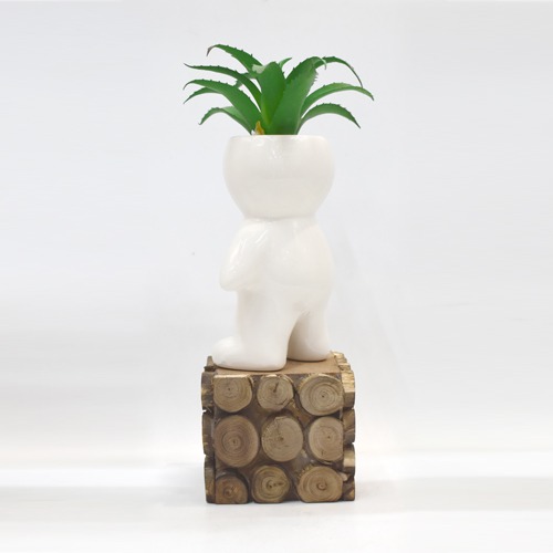 Artificial Plants | Plants for Home Decor, Living Room, Balcony | Wall Shelf Side Table Office Home Decoration