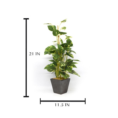 Artificial New Bonsai | Plant in Plastic Pot for Home Decor | Decoration Items for Living Room | Decorative Table Top Indoor Plants for Office Desks & Counters