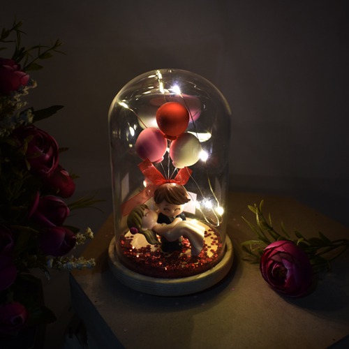 Balloon couple in Dome| LED Lights