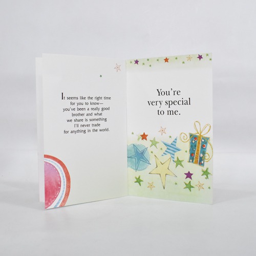 Because I Have a Brother I Will Always Have a Friend | Greeting Card