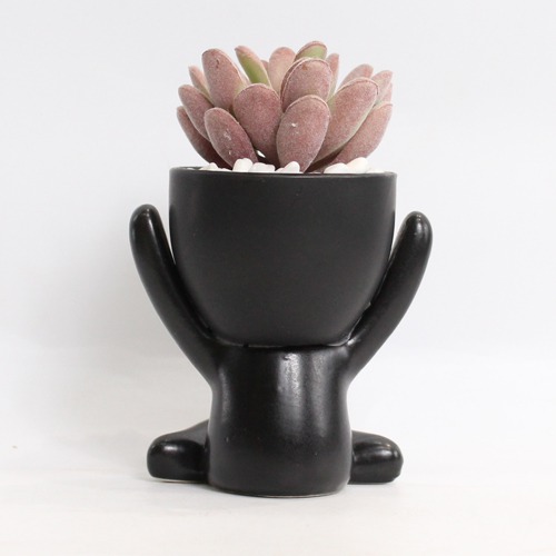 Indoor Artificial Black Pot Plant  | Plant in Plastic Pot for Home Decor | Decoration Items for Living Room | Decorative Table Top Indoor Plants for Office Desks & Counters