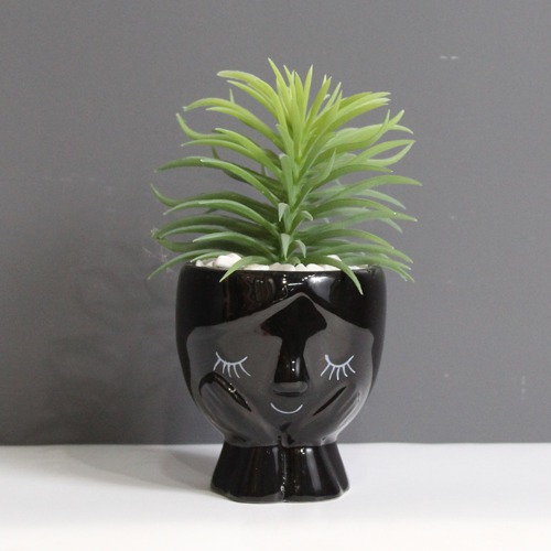 Artificial Senecio Barbertonicus Plant | Artificial Plant with Pot Artificial Plants for Home Decor Decorative Plants Artificial Flowers with Pot