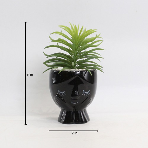 Artificial Senecio Barbertonicus Plant | Artificial Plant with Pot Artificial Plants for Home Decor Decorative Plants Artificial Flowers with Pot
